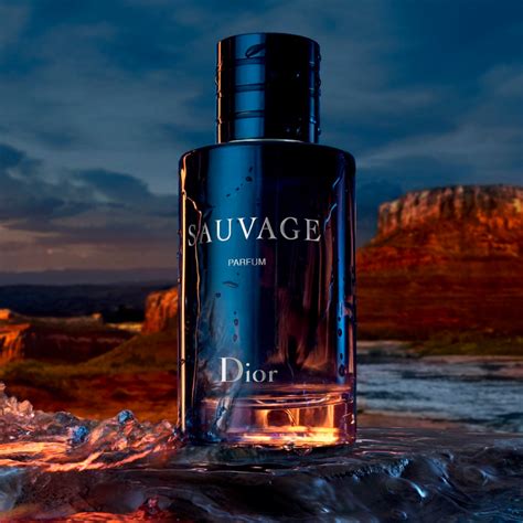 dior sauvage nowy|sauvage Dior perfume for men.